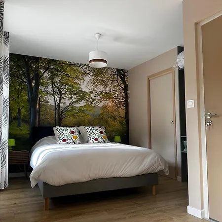ベッド・アンド・ブレックファスト Maison D'hote, L Ecrin De La Boudiere, Immersive Et En Option ナンシー